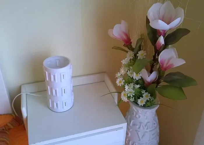 公寓 卡萨斯卡拉棣特奇公寓 *